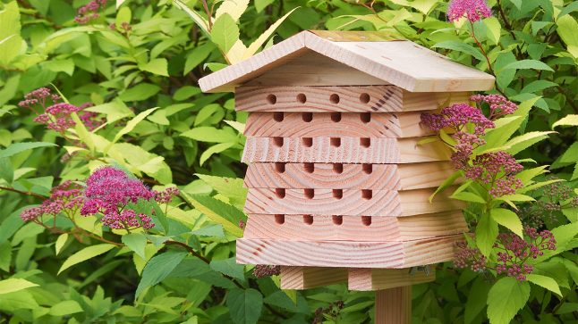 A wooden stacking solitary beehive from Wildlife World is seen in a garden