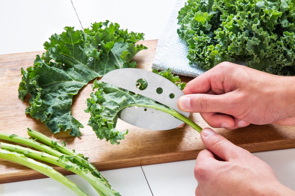 A person is seen cutting kale off the stem with a Raw Rutes kale razor
