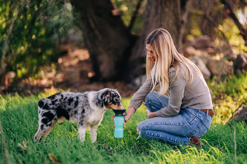 A woman is seen giving her dog water in the woods with a blue Highwave  AutoDogMug dog bowl water bottle