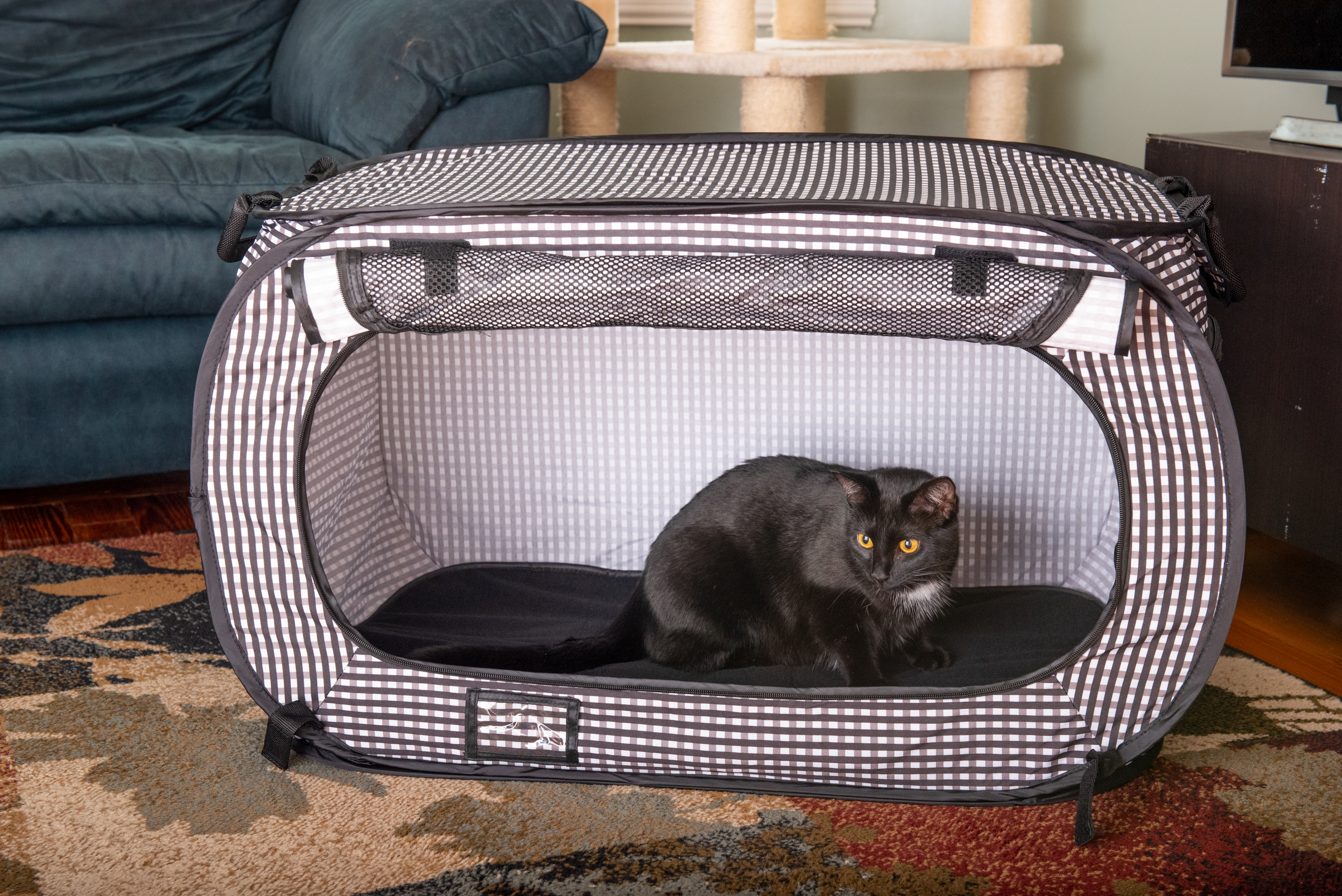 A black cat is seen sitting in a black & white checkered collapsible travel cat crate from Necoichi
