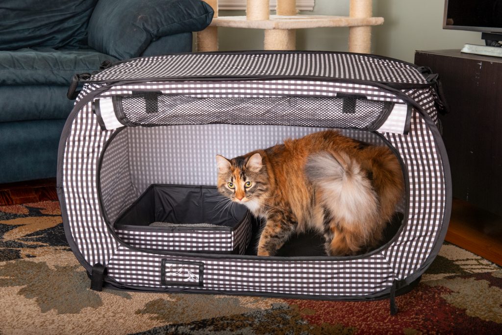 A Calico cat is seen sitting in a black & white checkered collapsible travel cat crate from Necoichi