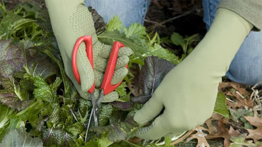 Foxgloves Grip, made with breathable knit fabric that keeps soil out, and hands and nails clean.